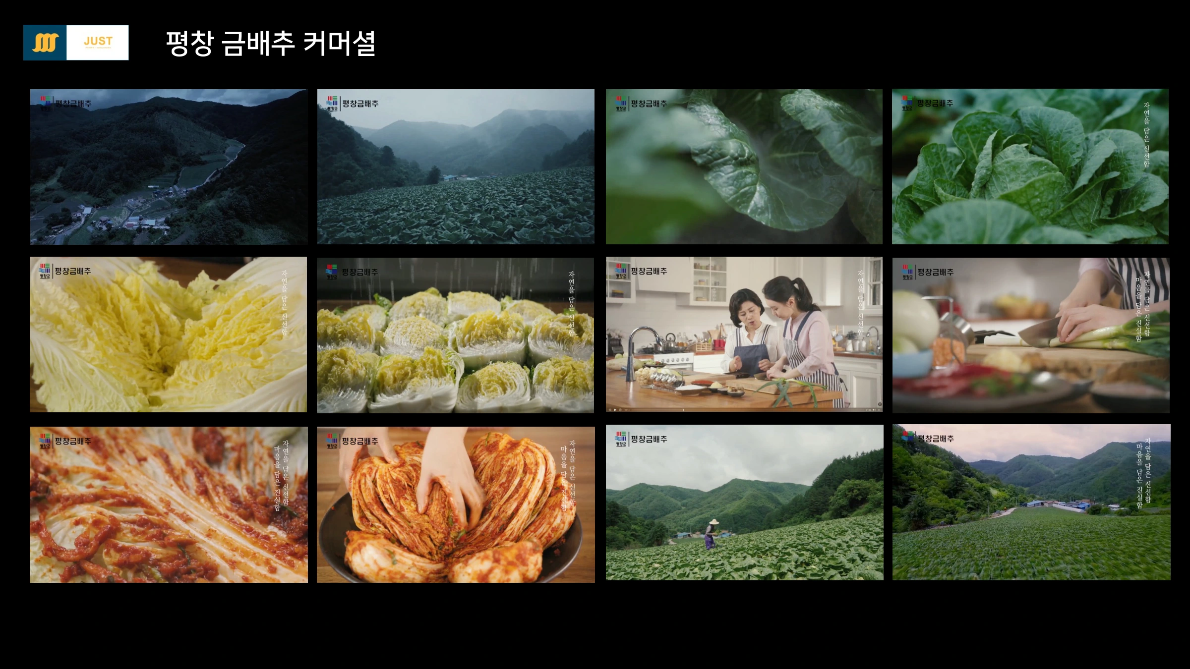 평창금배추커머셜
